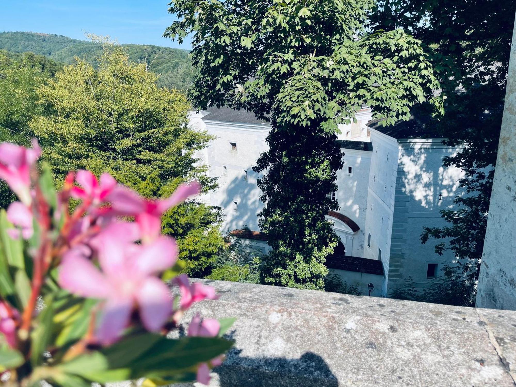 Der Turm Leiben Apartments 外观 照片